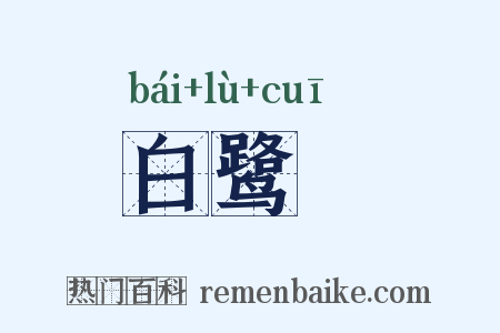 白鹭缞是什么意思的图片